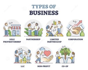 Types of Legal Entities for Doing Business | Choksitax